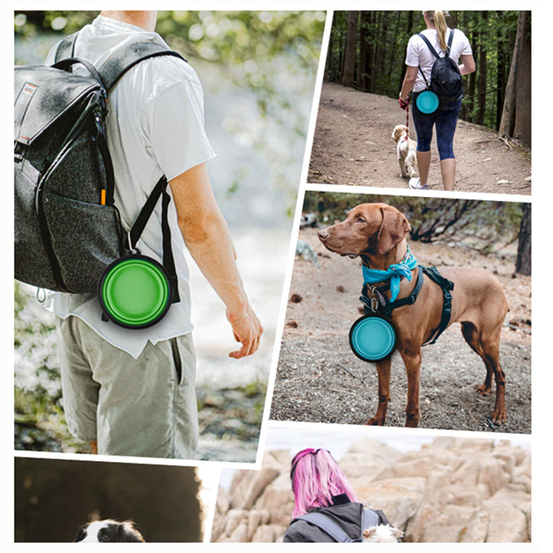 Foldable Pet Bowl